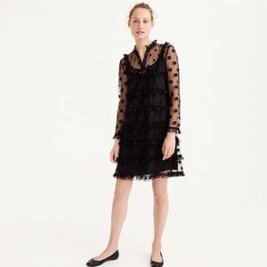 J.Crew Polka-Dot Embroidered Tulle Dress